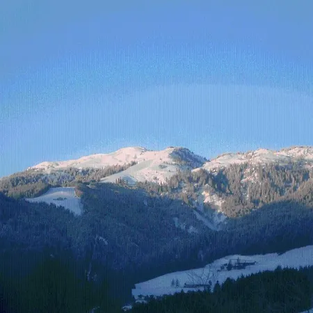 Gospodarstwo wiejskie Landgasthof Dorferwirt *