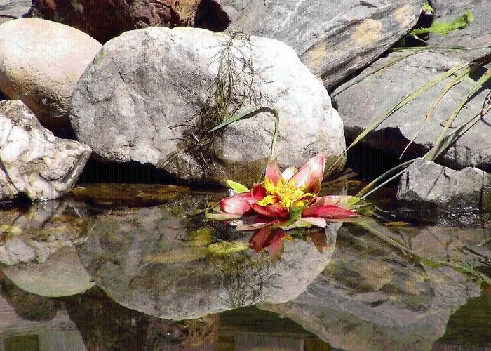 Landgasthof Dorferwirt