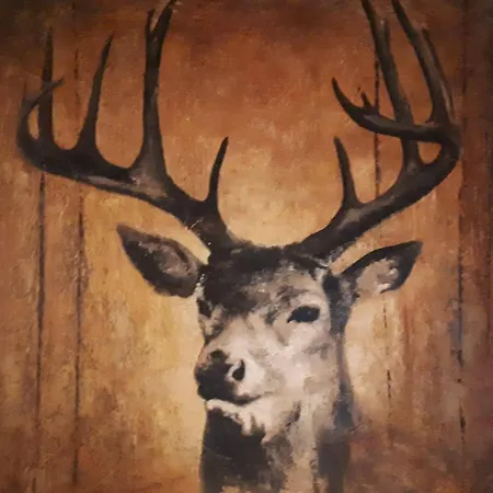 Landgasthof Dorferwirt オーバーアウ