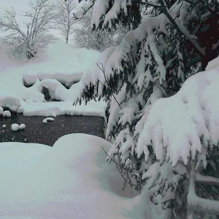 Landgasthof Dorferwirt カントリーハウス *