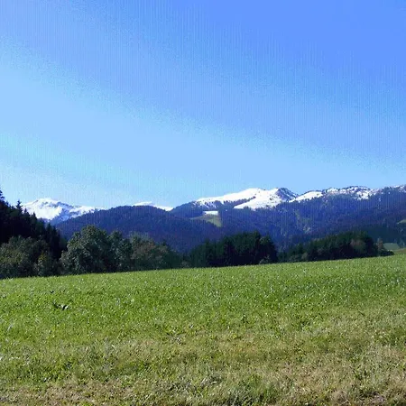 Landgasthof Dorferwirt オーバーアウ